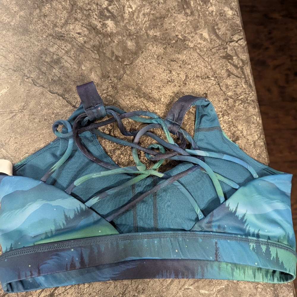 Aurora borealis butterfly style bra